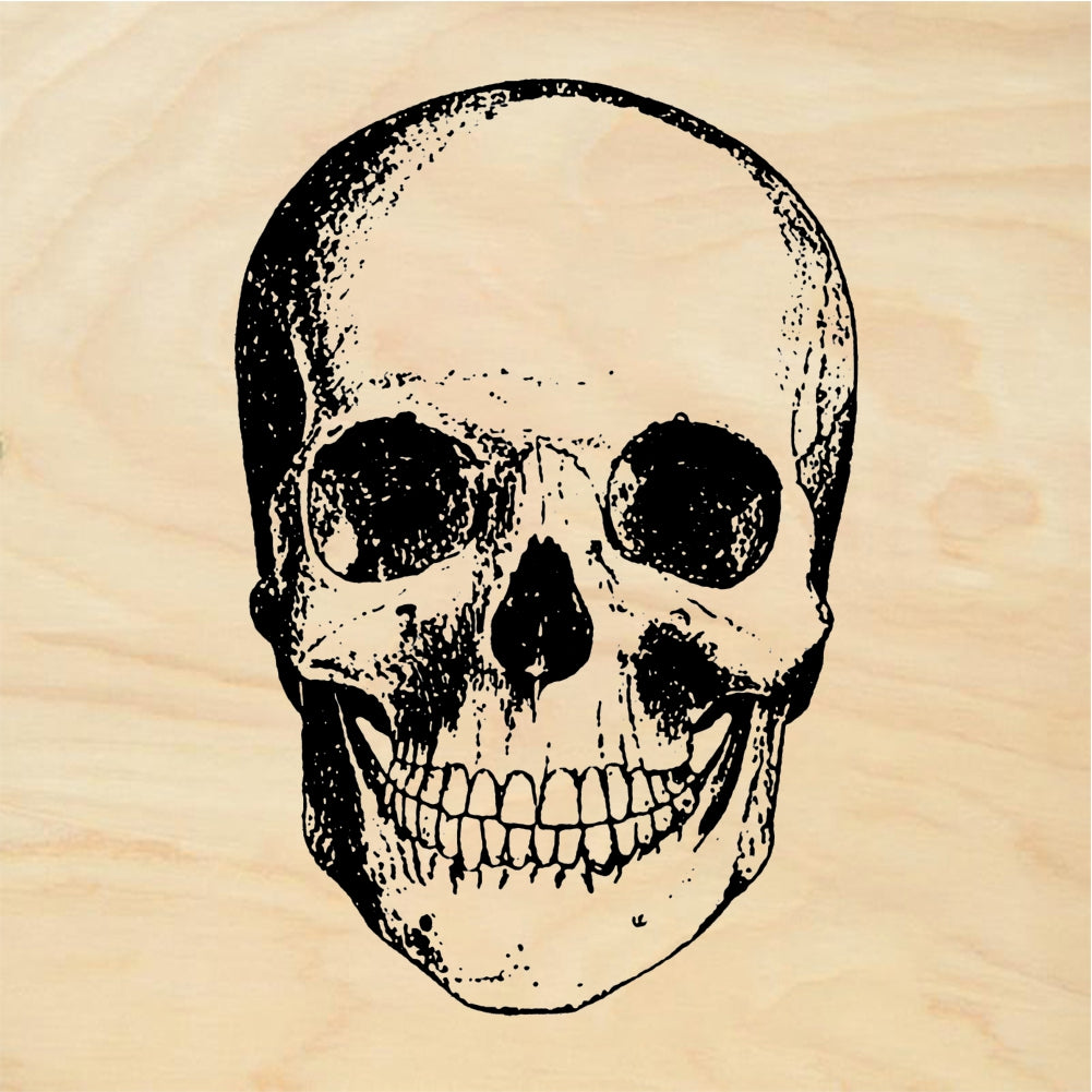 StampaFe Skull, Front View Anatomical Skull Front View - Rubber Stamp 2 x 2.25