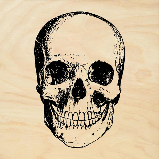 StampaFe Skull, Front View Anatomical Skull Front View - Rubber Stamp 2 x 2.25