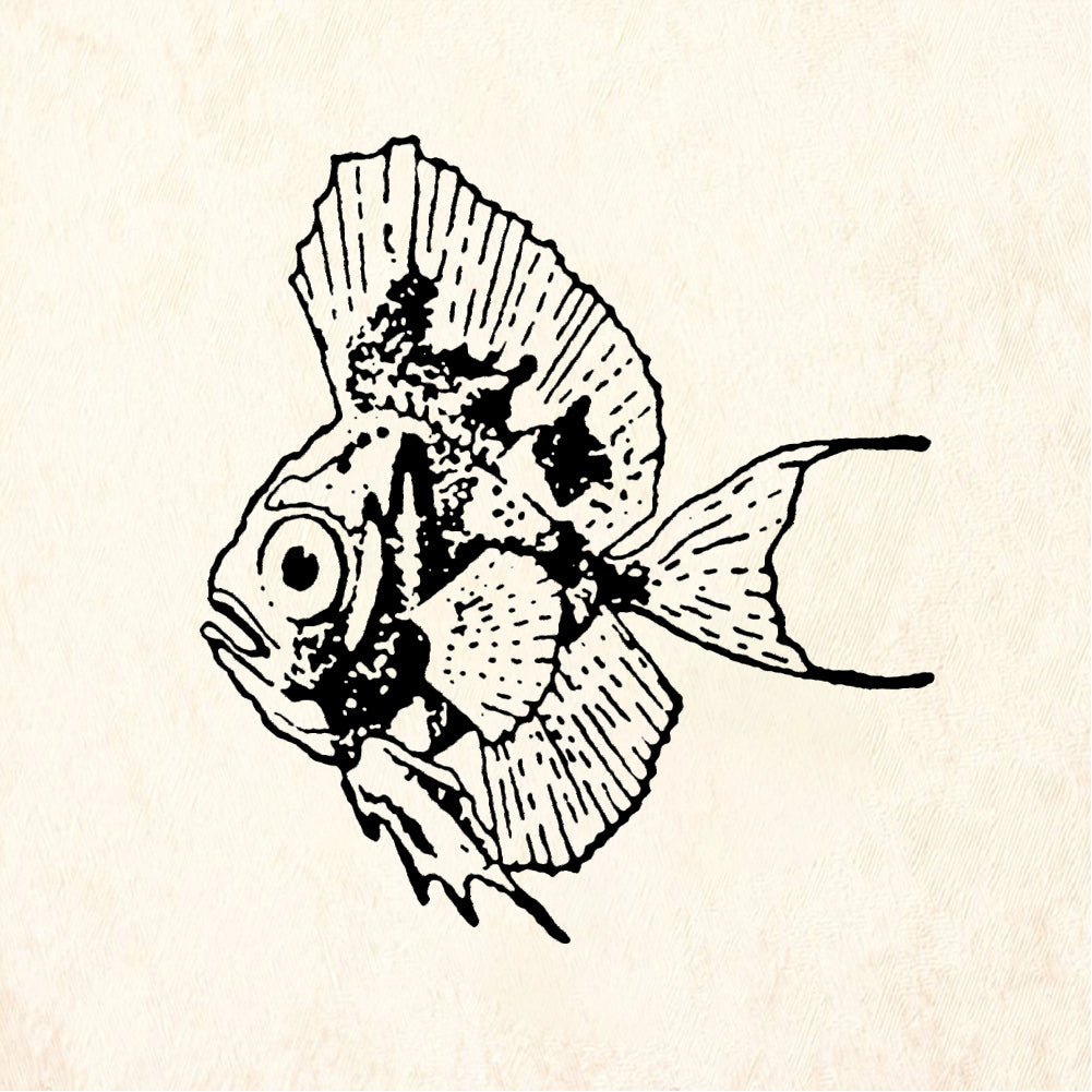 StampaFe Big Eyed Fish - Rubber Stamp 1.75 x 1.5