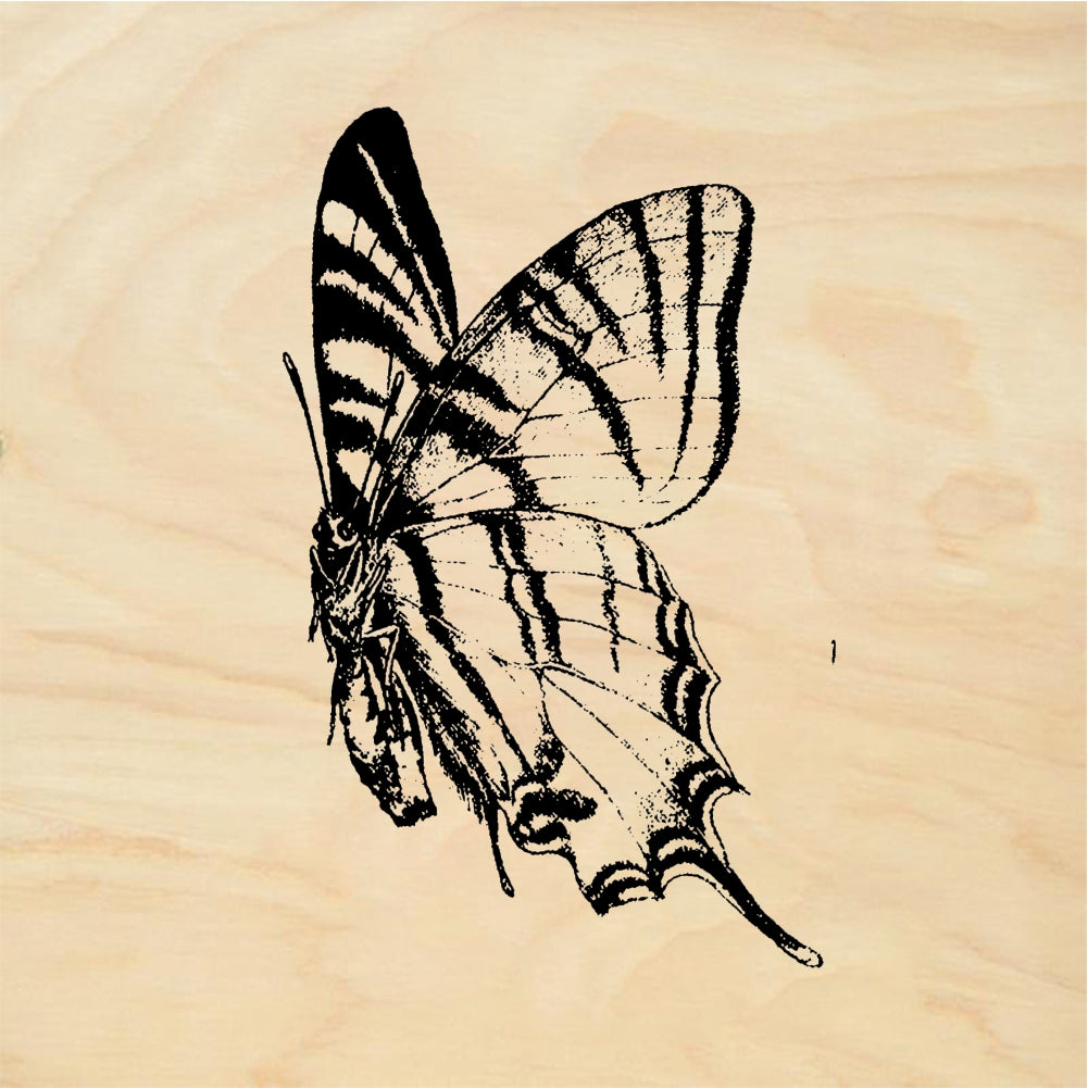 StampaFe Swallowtail Butterfly - Rubber Stamp 1.5 x 1.75