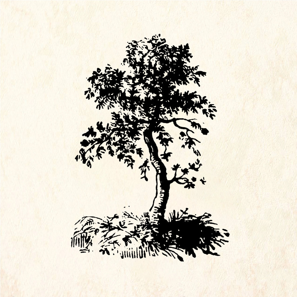 StampaFe Little Tree - Rubber Stamp 1 x 0.75