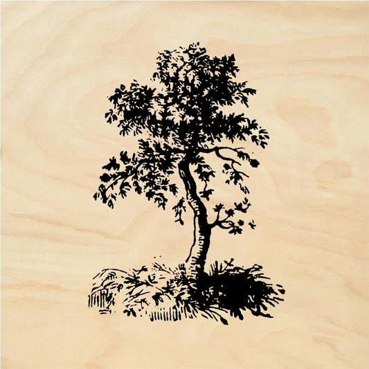 StampaFe Little Tree - Rubber Stamp 1 x 0.75