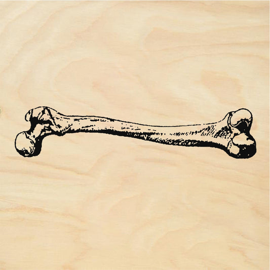 StampaFe StampaFe Little Femur Bone Rubber Stamp 1.75 x 0.25