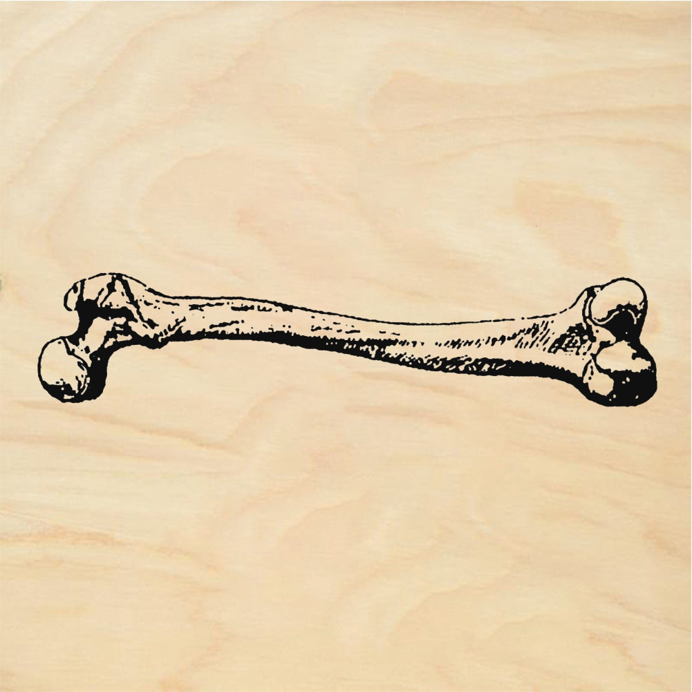 StampaFe Little Femur Small Bone Femur - Rubber Stamp 1.5 x 0.25