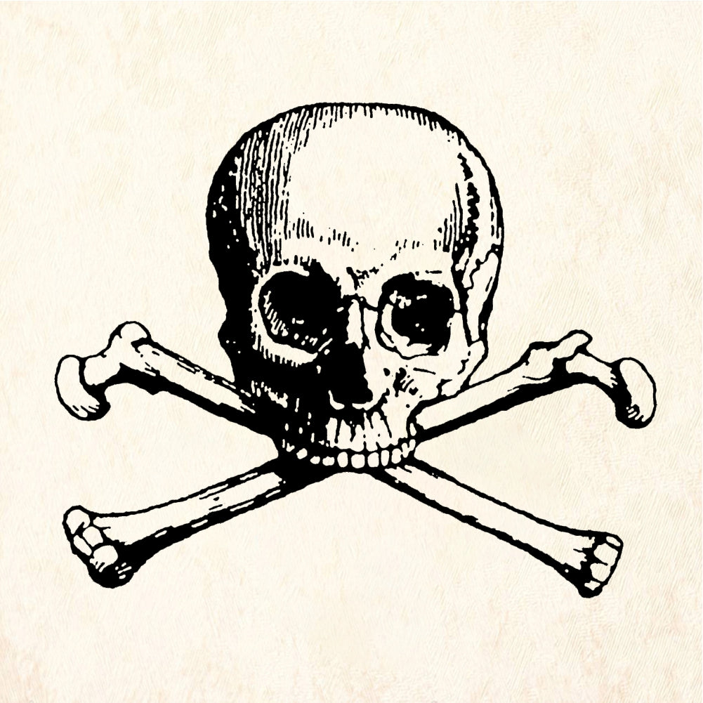 StampaFe Skull & Rubber Stamp 1.25 x 1.25