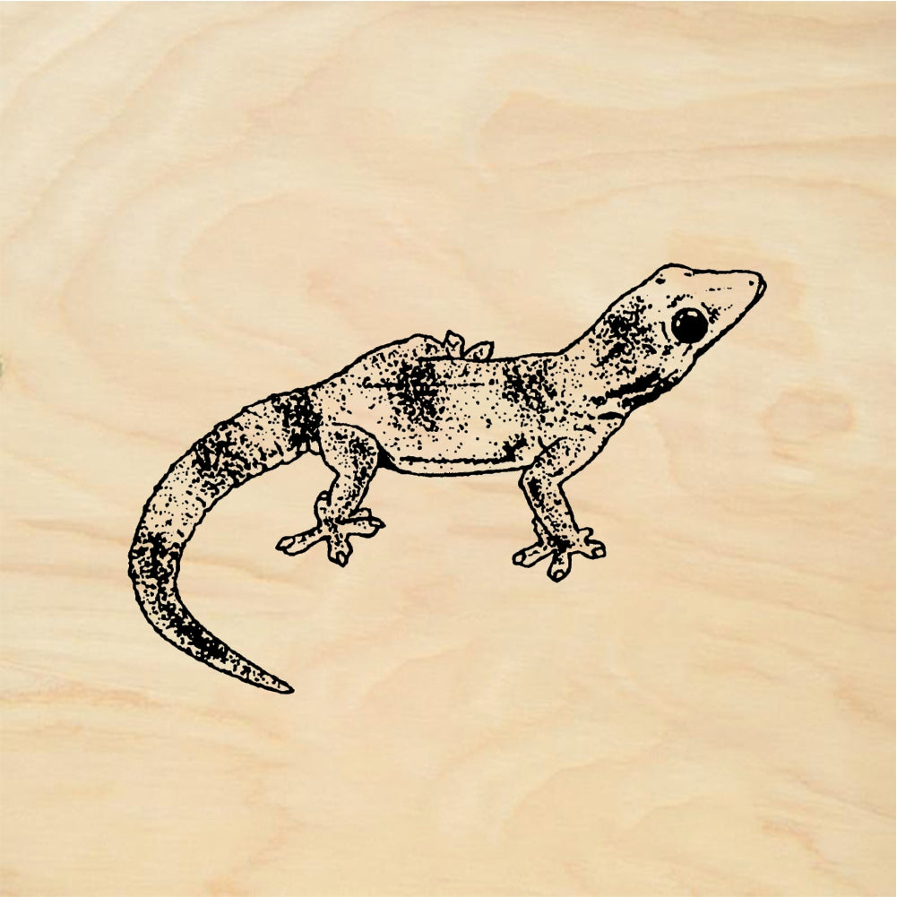StampaFe Gecko - Rubber Stamp 1.5 x 1.25