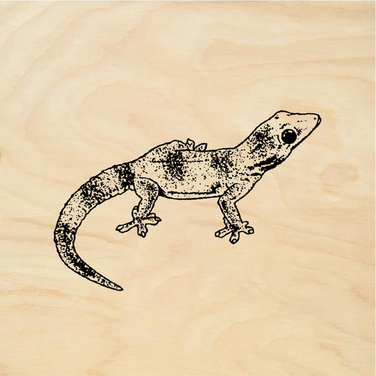 StampaFe Gecko - Rubber Stamp 1.5 x 1.25