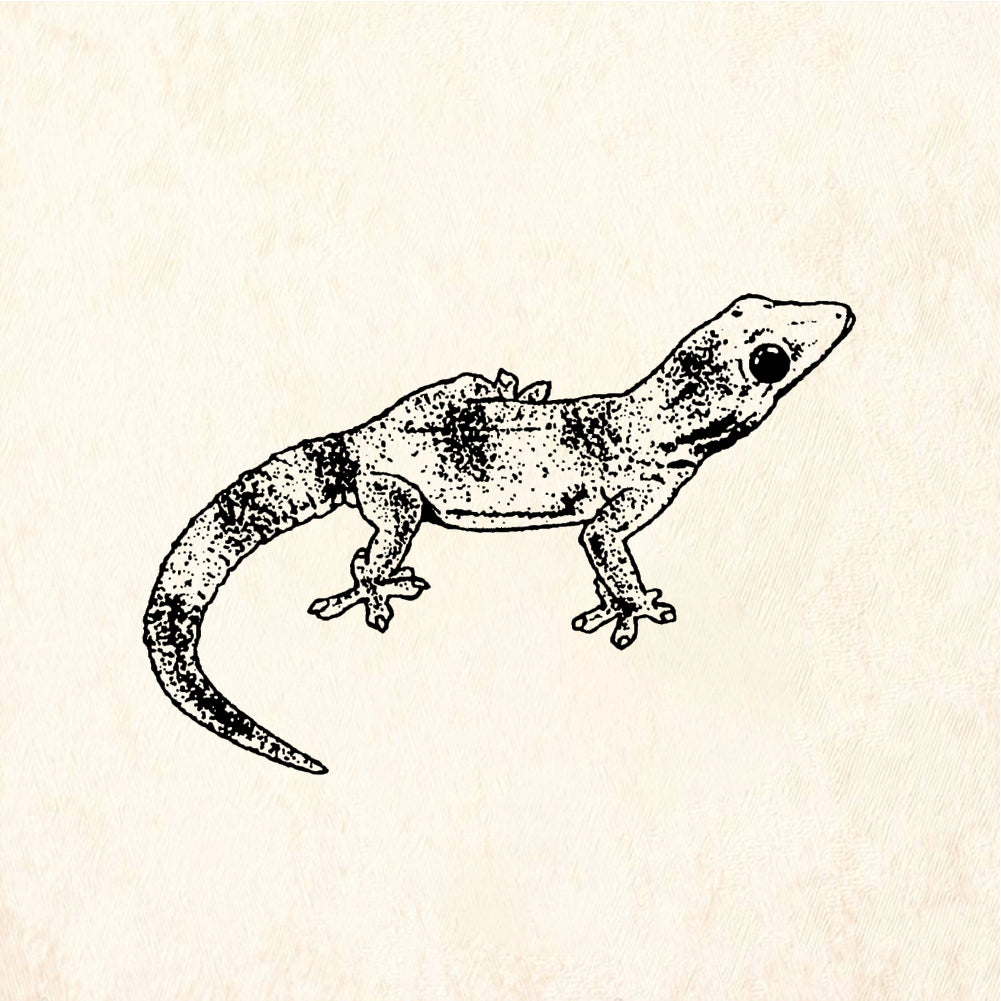 StampaFe Gecko - Rubber Stamp 1.5 x 1.25