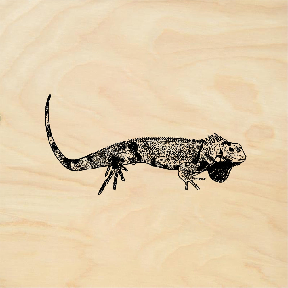 StampaFe Iguana - Rubber Stamp 3 x 1.5