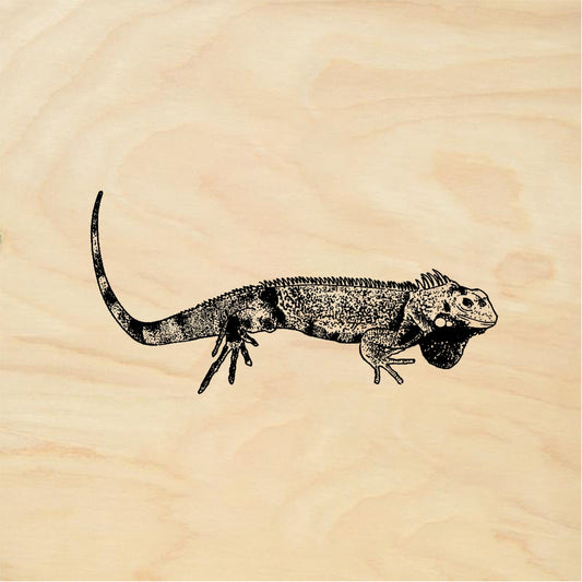StampaFe Iguana - Rubber Stamp 3 x 1.5