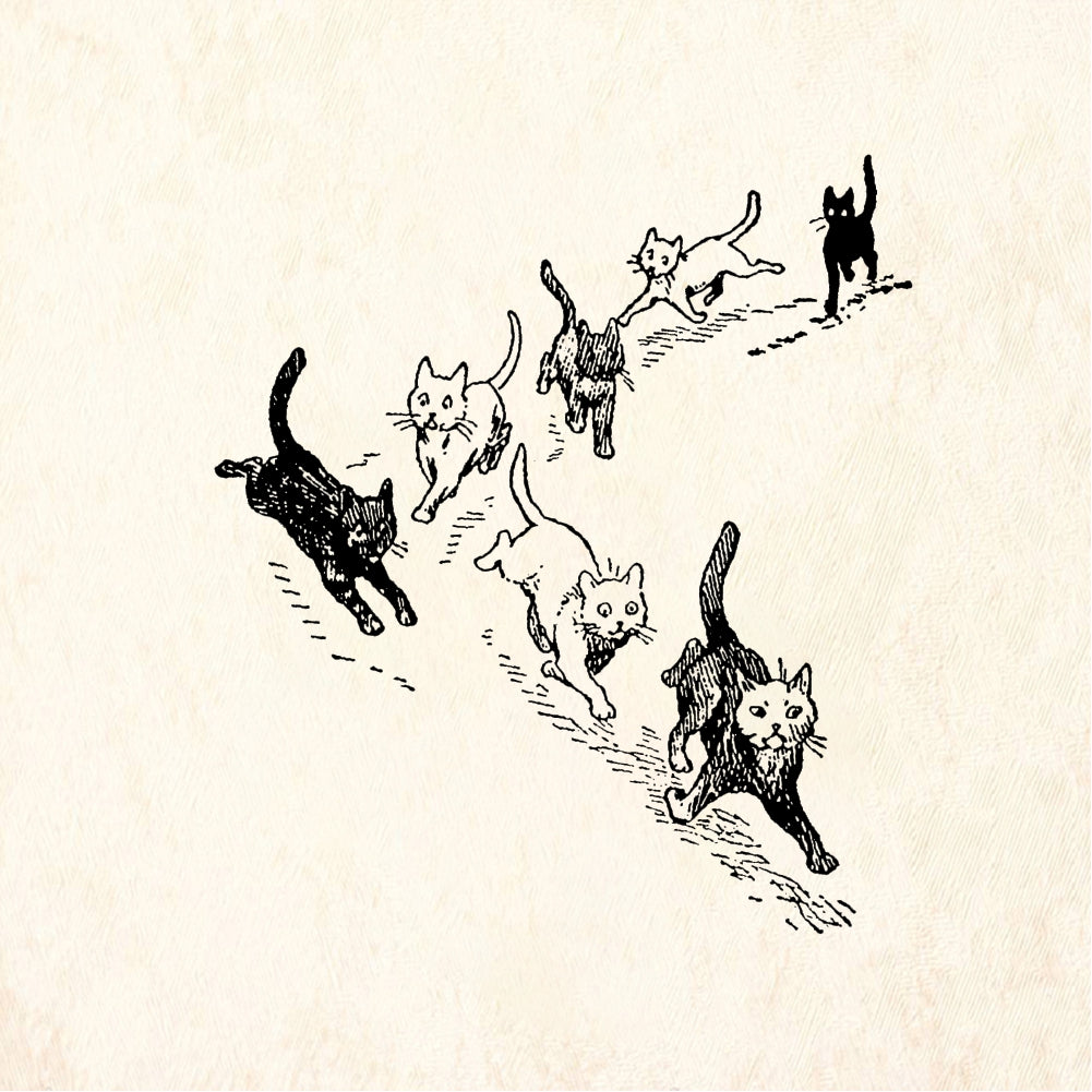 StampaFe Cat stampede - Rubber Stamp 2 x 1.25