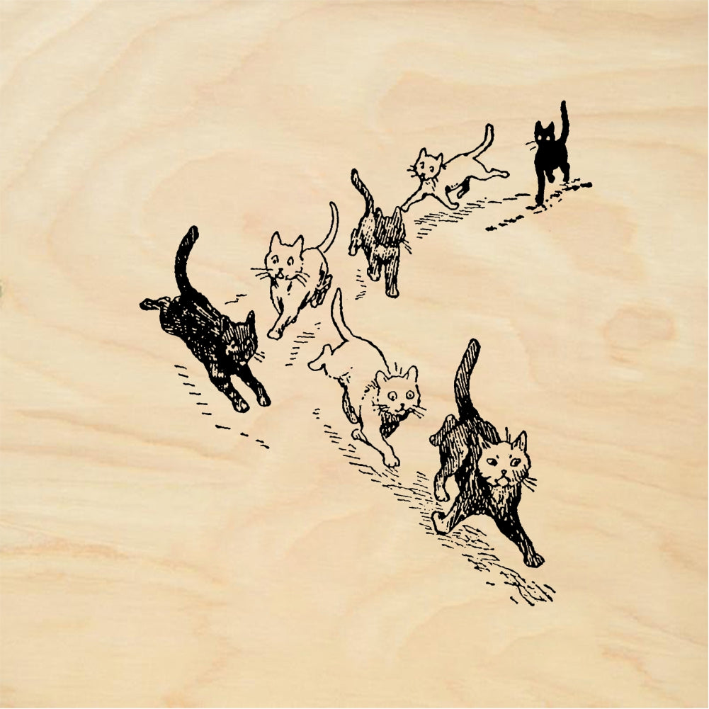 StampaFe Cat stampede - Rubber Stamp 2 x 1.25