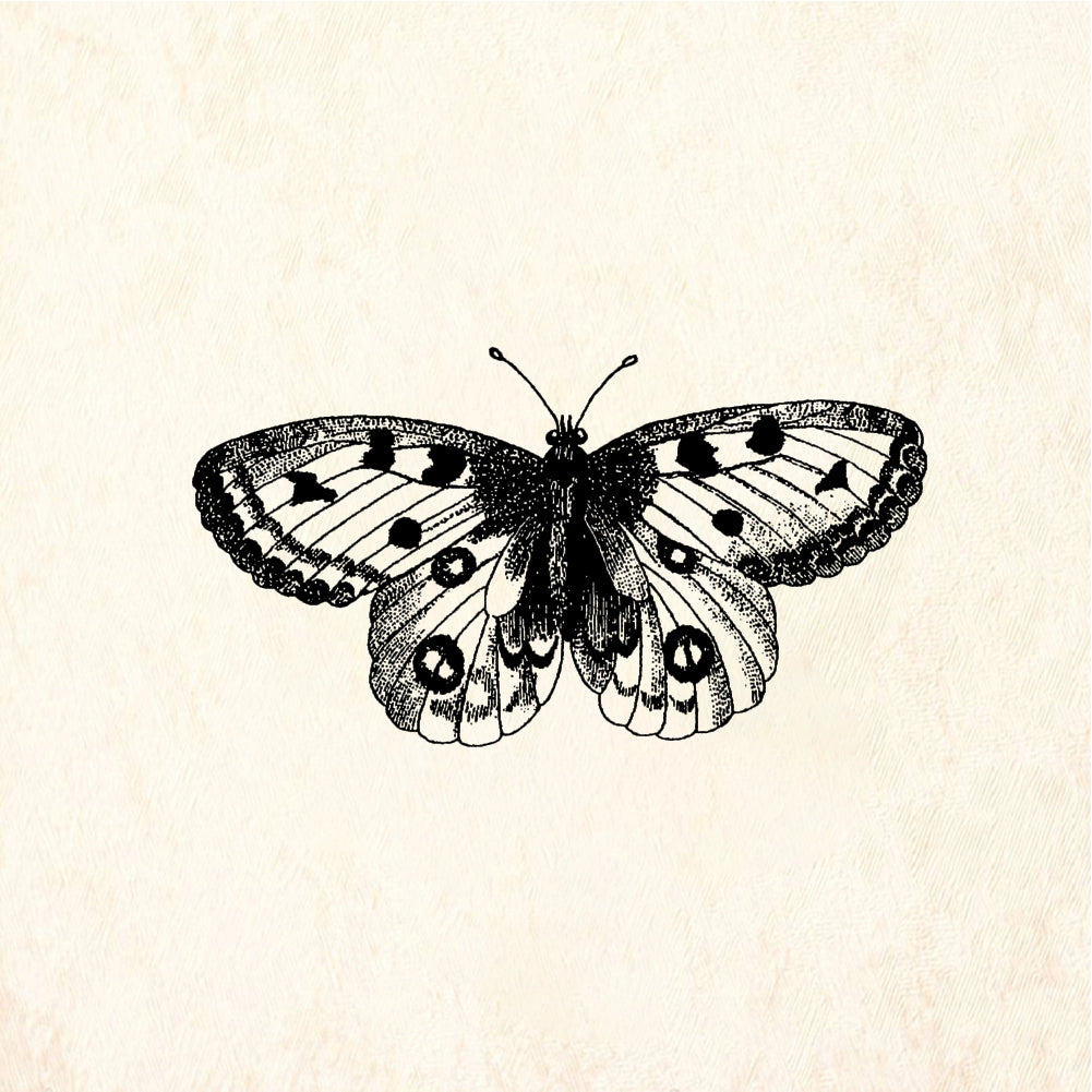 StampaFe Papillon Butterfly - Rubber Stamp 2.25 x 1.25