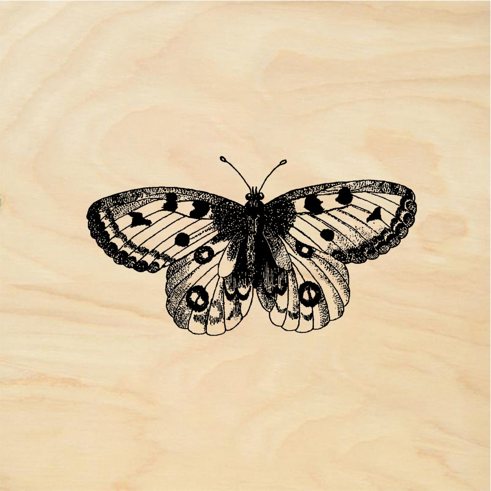 StampaFe Papillon Butterfly - Rubber Stamp 2.25 x 1.25
