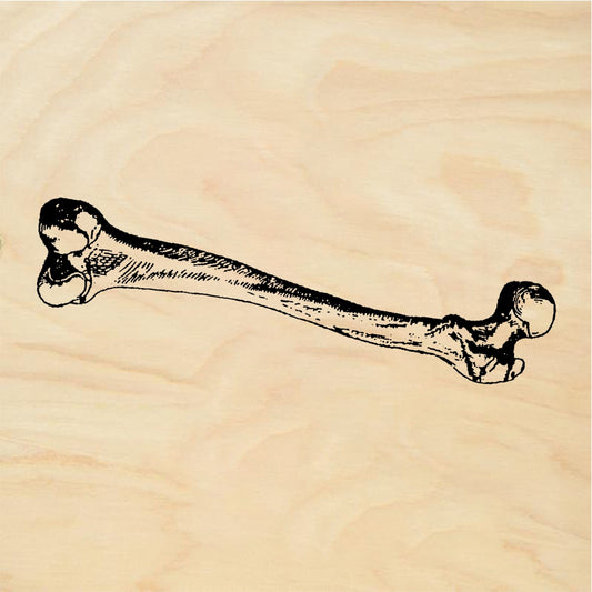 StampaFe Big Femur Large Bone Femur - Rubber Stamp 2.25 x 0.75
