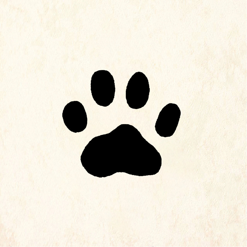 StampaFe Cat paw print, med. Medium Cat Paw - Rubber Stamp 0.5 x 1
