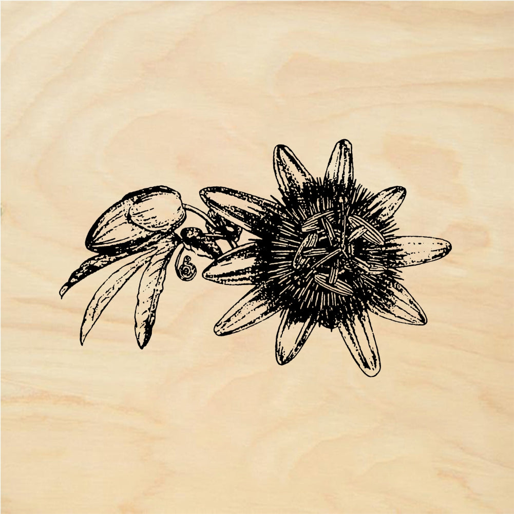 StampaFe Passion flower - Rubber Stamp 1.75 x 1.5