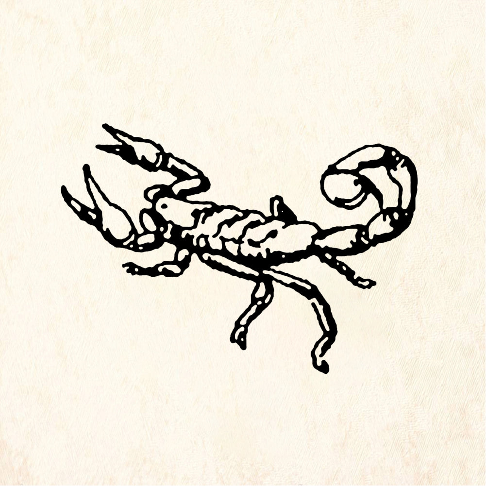 StampaFe Small scorpion - Rubber Stamp 1.25 x 0.75