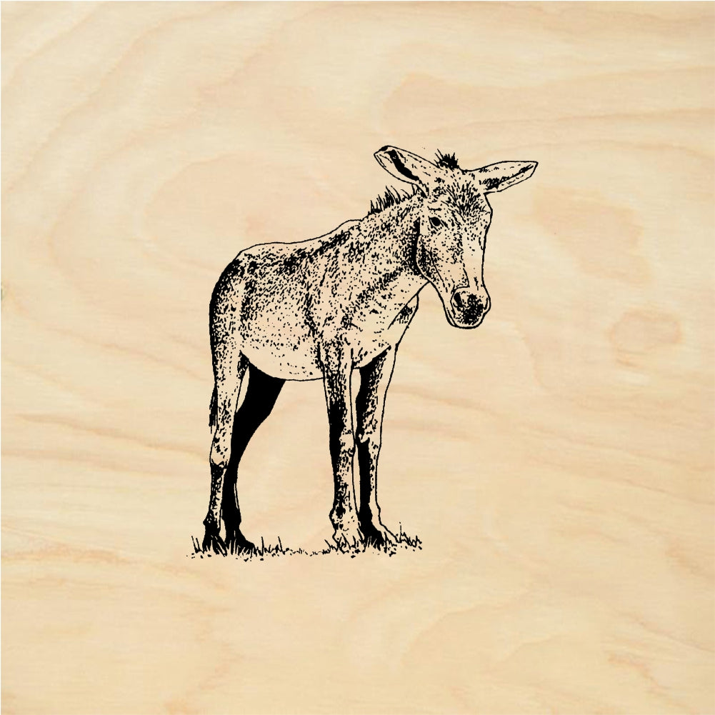 StampaFe Donkey Detailed Donkey Animal - Rubber Stamp 1.75 x 2