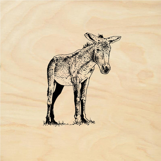 StampaFe Donkey Detailed Donkey Animal - Rubber Stamp 1.75 x 2
