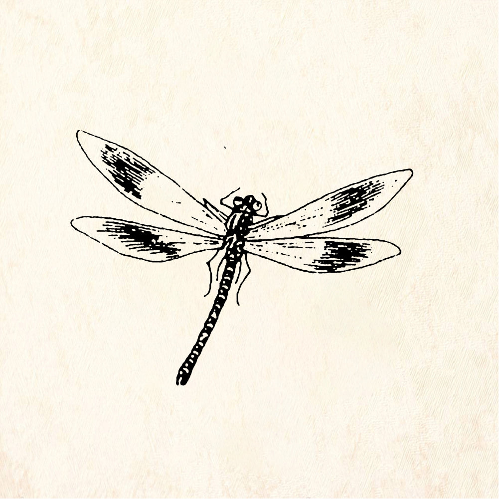 StampaFe Dragonfly, lg. Large Dragonfly - Rubber Stamp 2.25 x 1