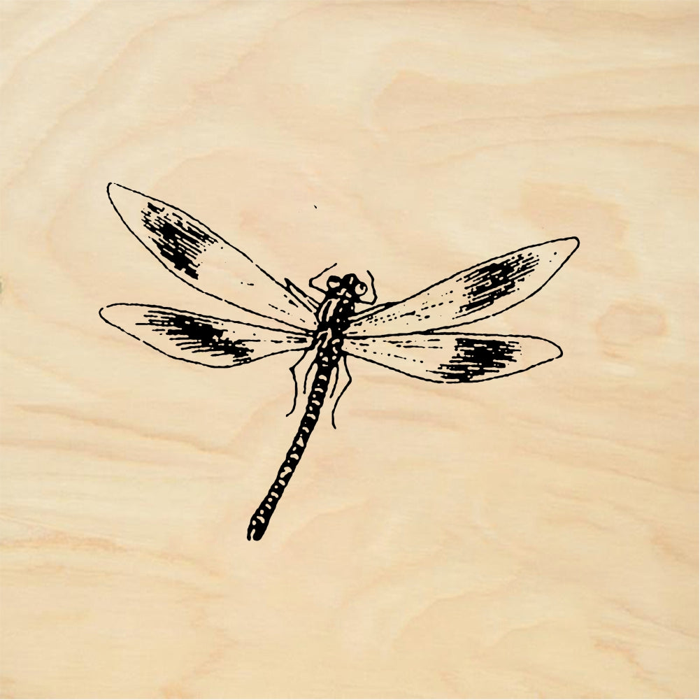 StampaFe Dragonfly, lg. Large Dragonfly - Rubber Stamp 2.25 x 1