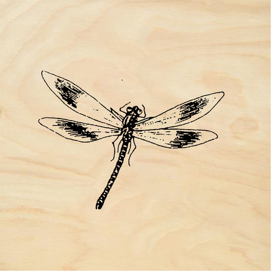 StampaFe Dragonfly, lg. Large Dragonfly - Rubber Stamp 2.25 x 1