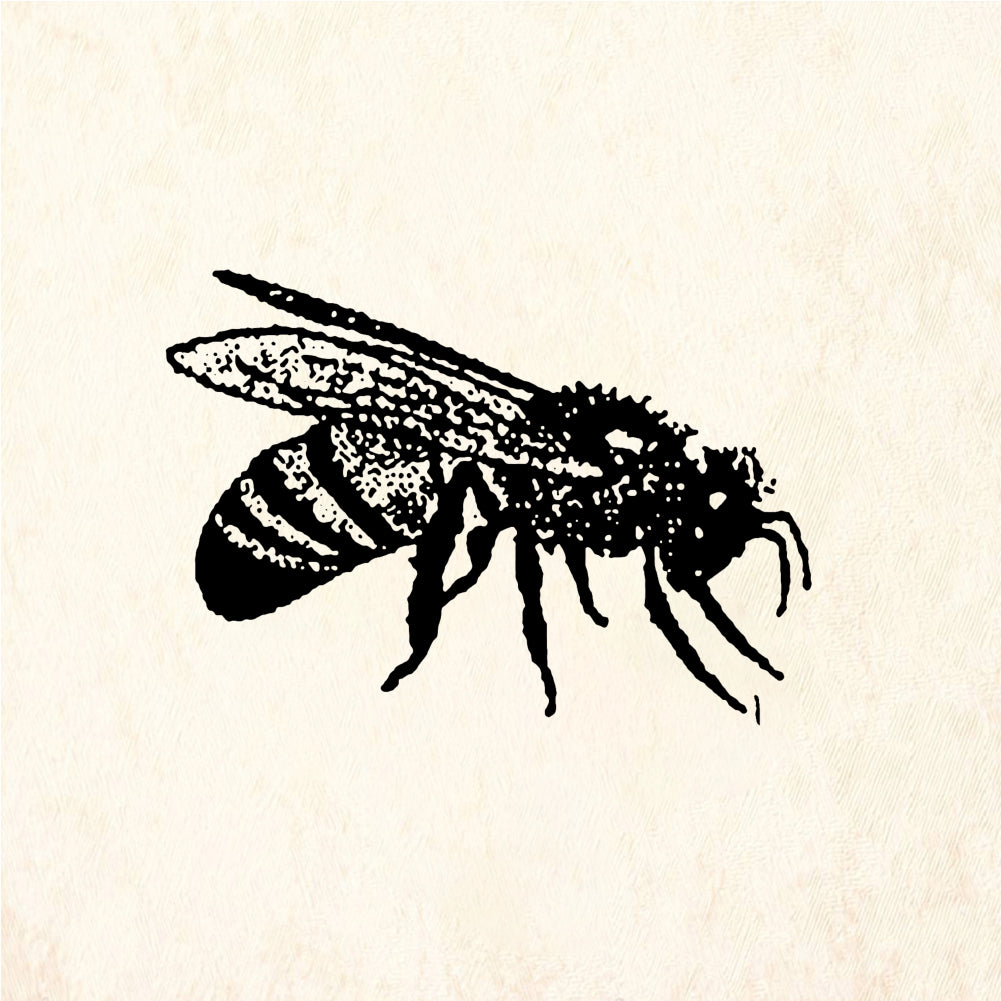 StampaFe Killer bee - Rubber Stamp 0.75 x 0.75