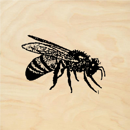 StampaFe Killer bee - Rubber Stamp 0.75 x 0.75