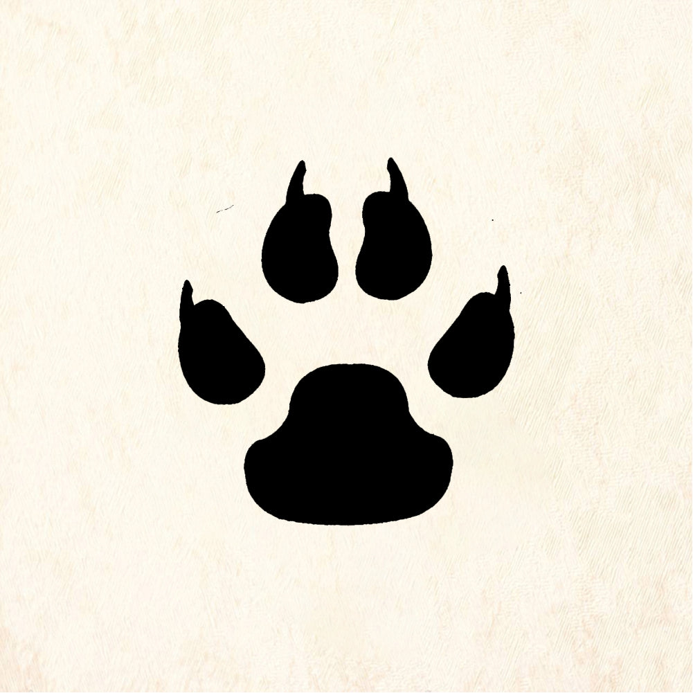 StampaFe Large Poodle Paw - Rubber Stamp 1 x 1