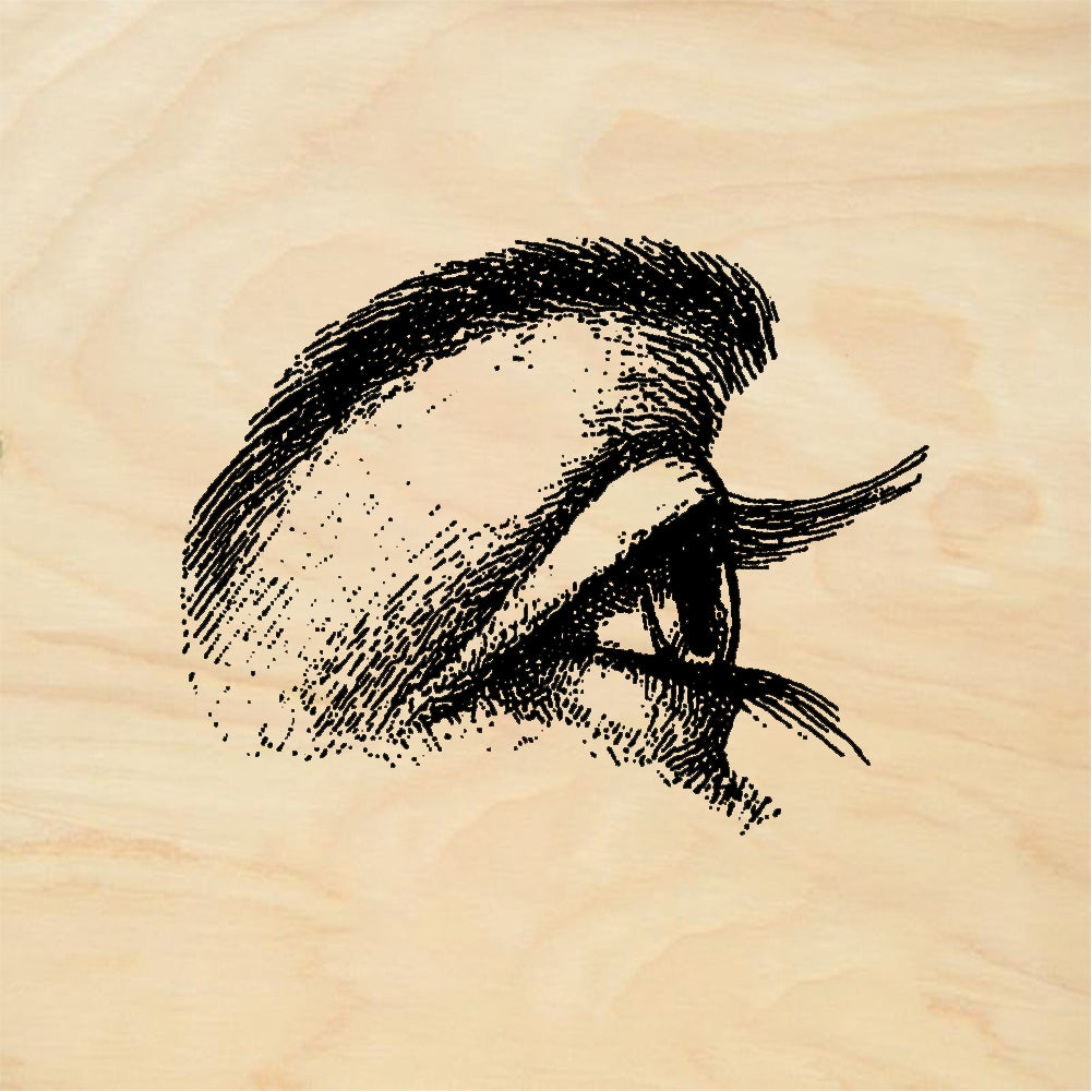 StampaFe Eye, side view Side View Eye - Rubber Stamp 0.75 x 1