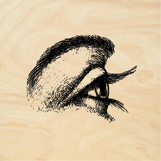 StampaFe Eye, side view Side View Eye - Rubber Stamp 0.75 x 1
