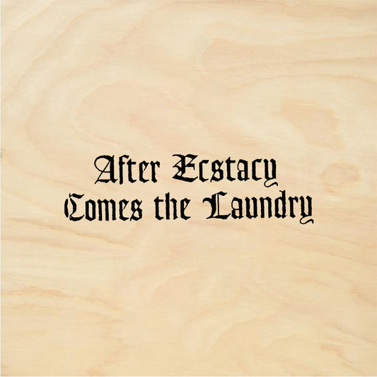 StampaFe After Ecstasy Comes the Laundry Ecstasy - Rubber Stamp 1.75 x 0.5