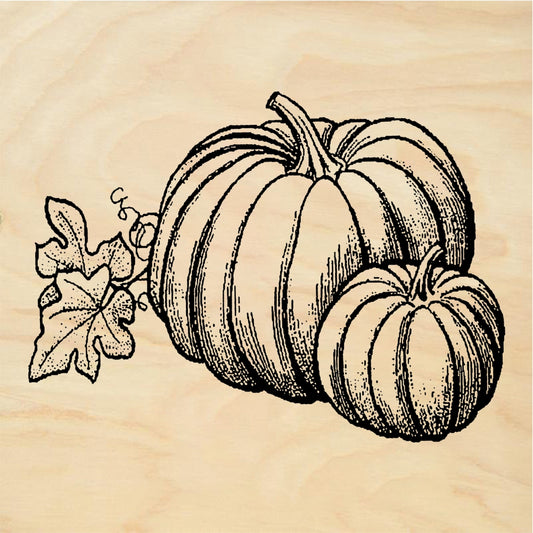 StampaFe Pumpkins Pumpkin Cluster - Rubber Stamp 3 x 2.25