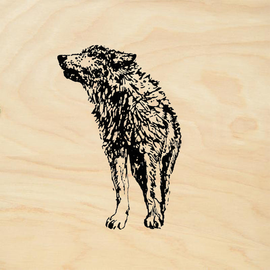 StampaFe Young Timber Wolf Large Mixed Media Rubber Art Stamp