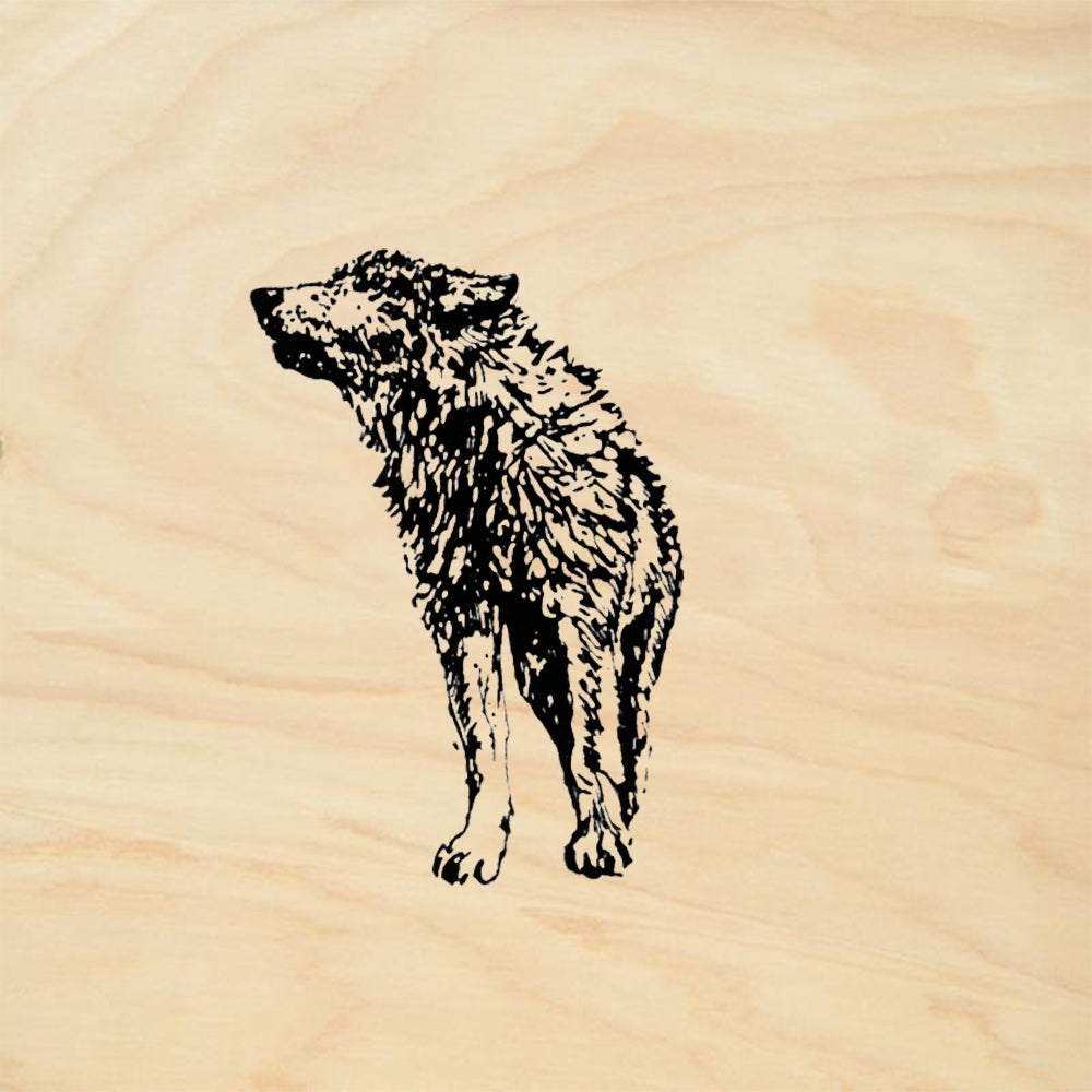 StampaFe Young Timber Wolf Small Mixed Media Rubber Art Stamp