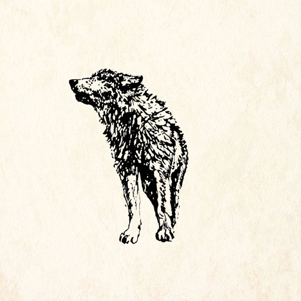 StampaFe Young Timber Wolf Small Mixed Media Rubber Art Stamp