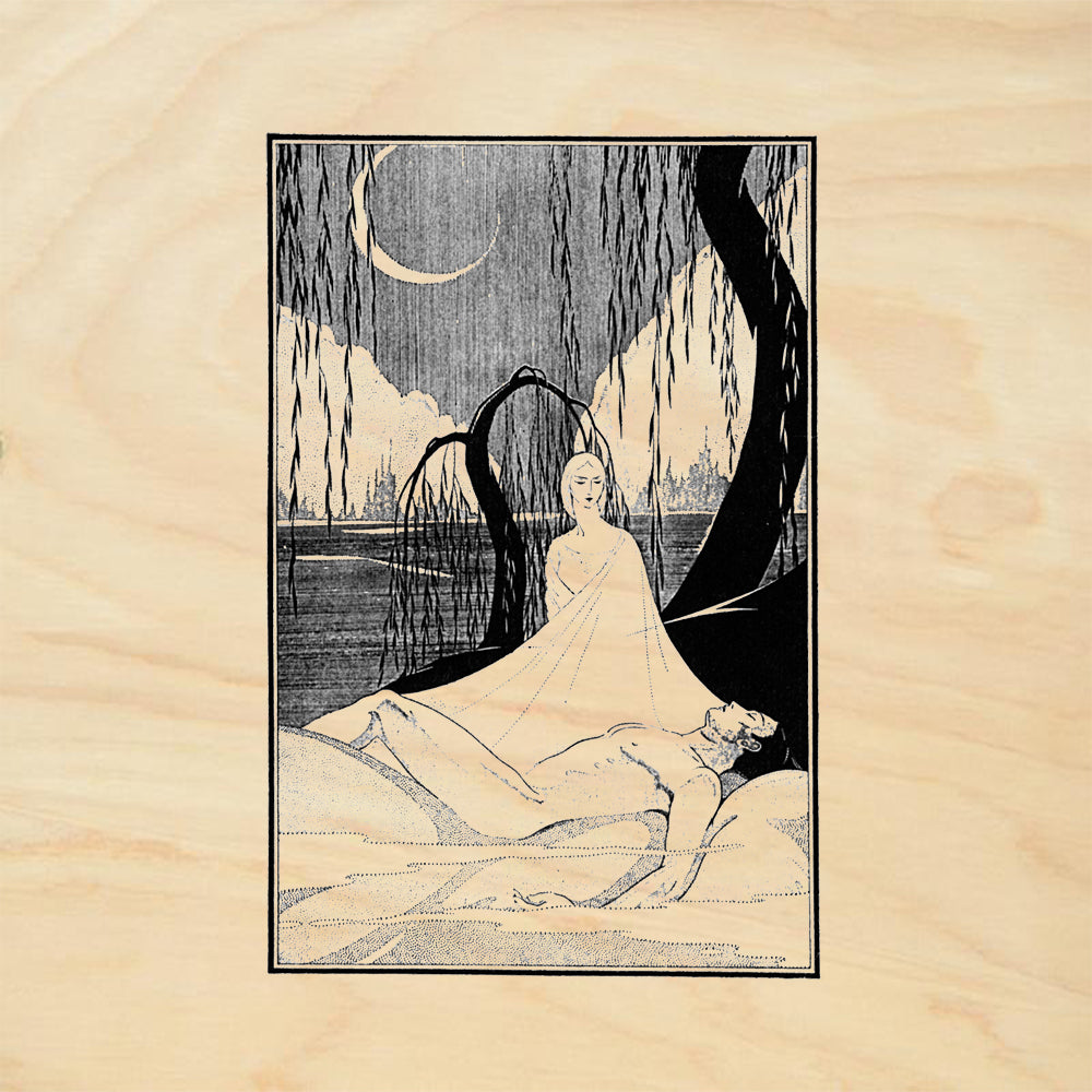 StampaFe Willow Repose Botanical Rubber Art Stamp