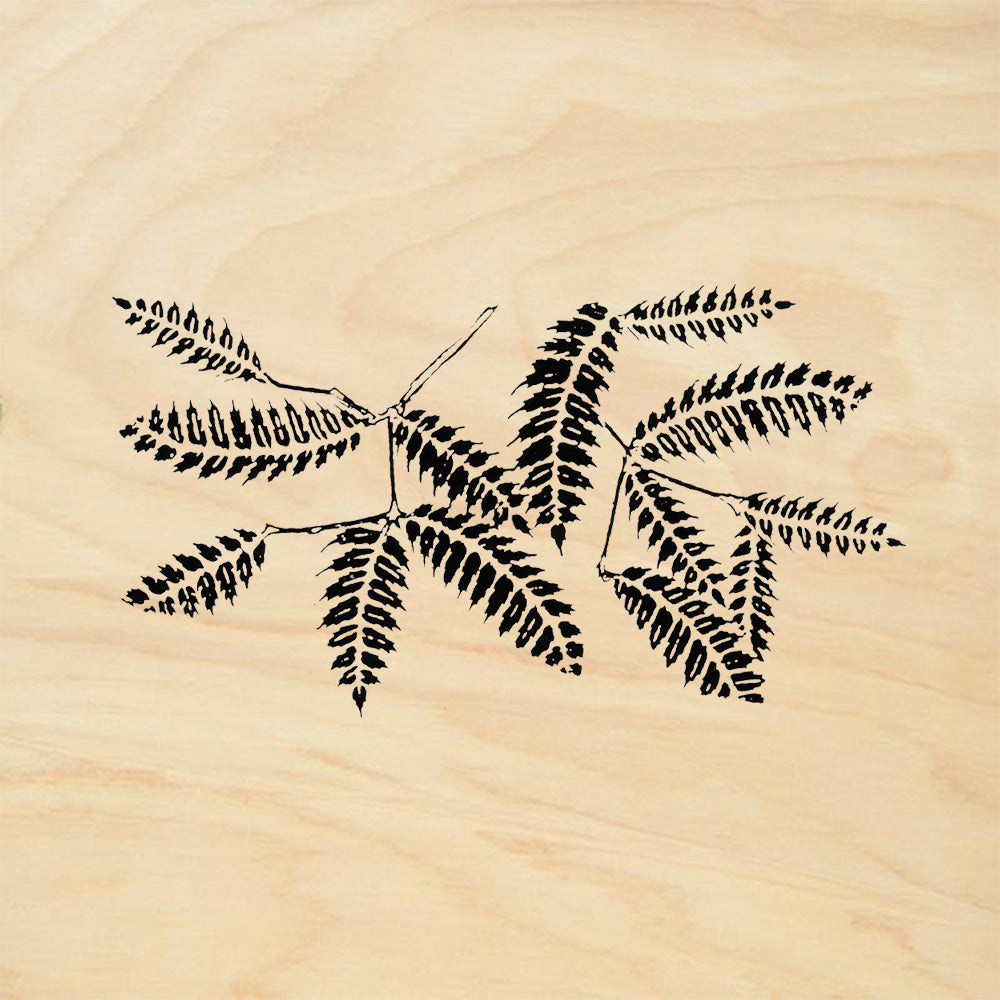 StampaFe Fern Botanical Rubber Art Stamp