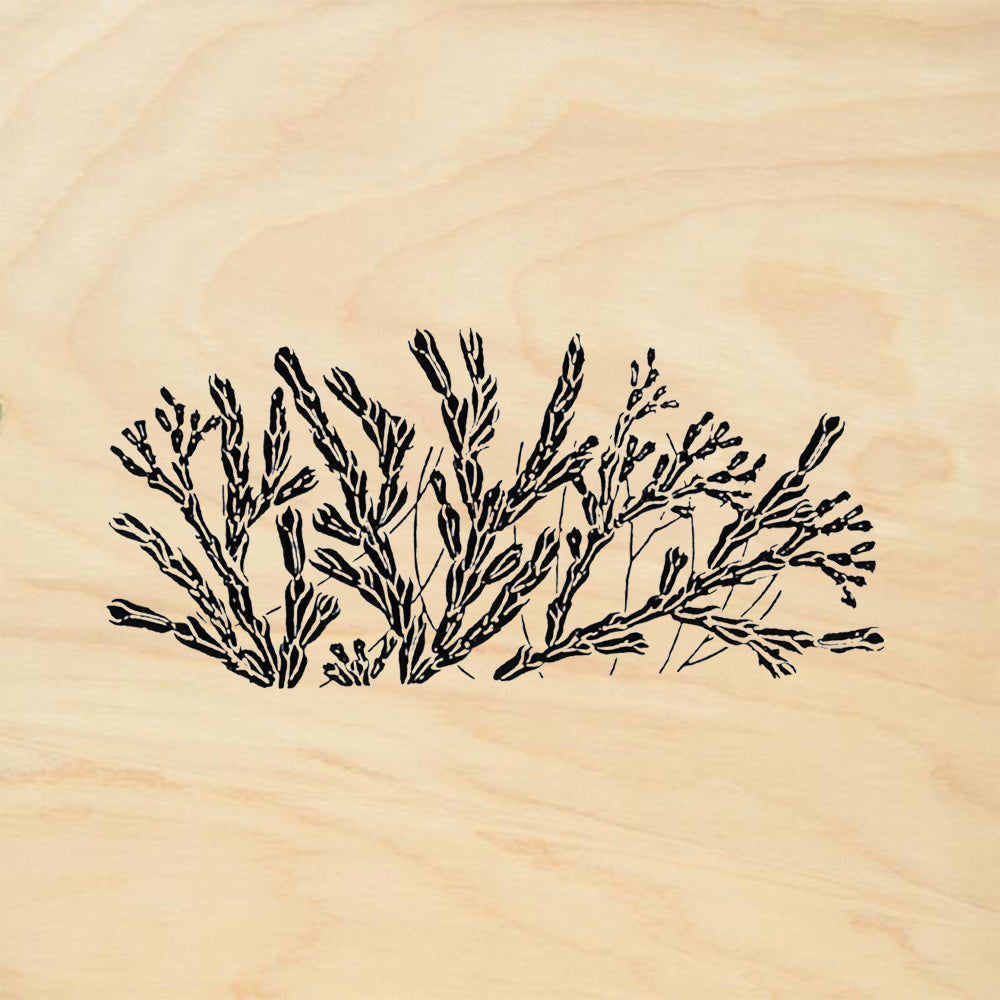 StampaFe Ginger Botanical Rubber Art Stamp