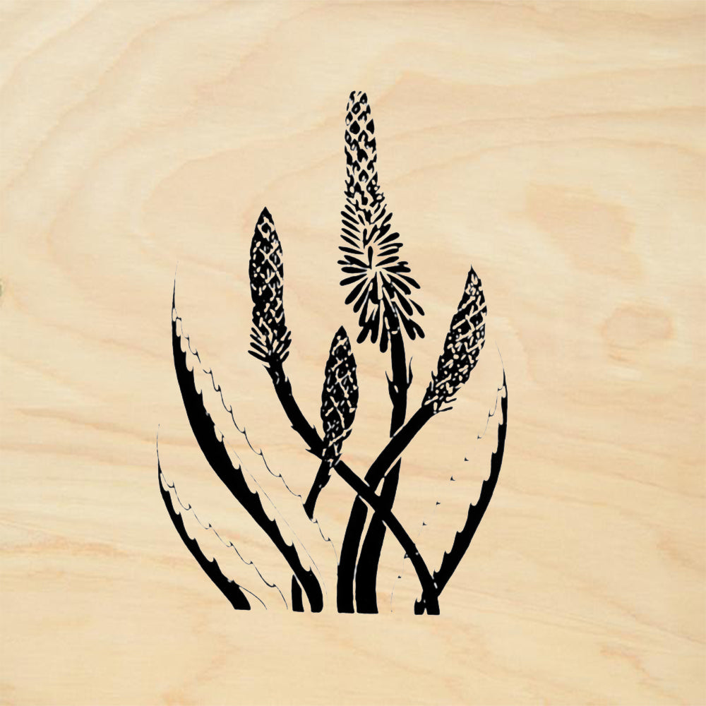 StampaFe Century Plant Botanical Rubber Art Stamp