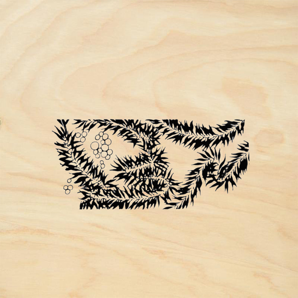 StampaFe Sea Wrack Botanical Rubber Art Stamp