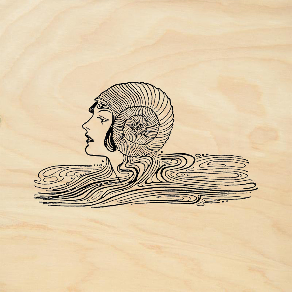 StampaFe Seaswirl Vintage Rubber Art Stamp