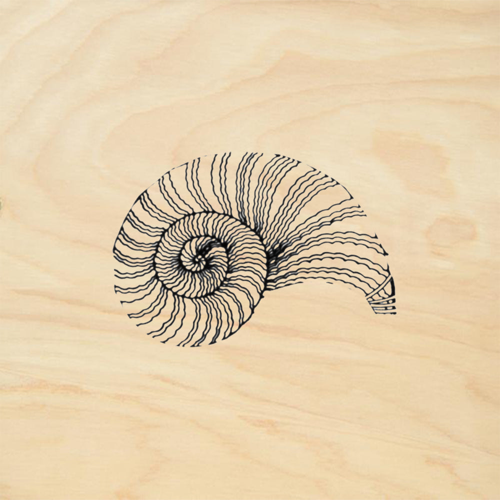 StampaFe Nautilus Shell Mixed Media Rubber Art Stamp
