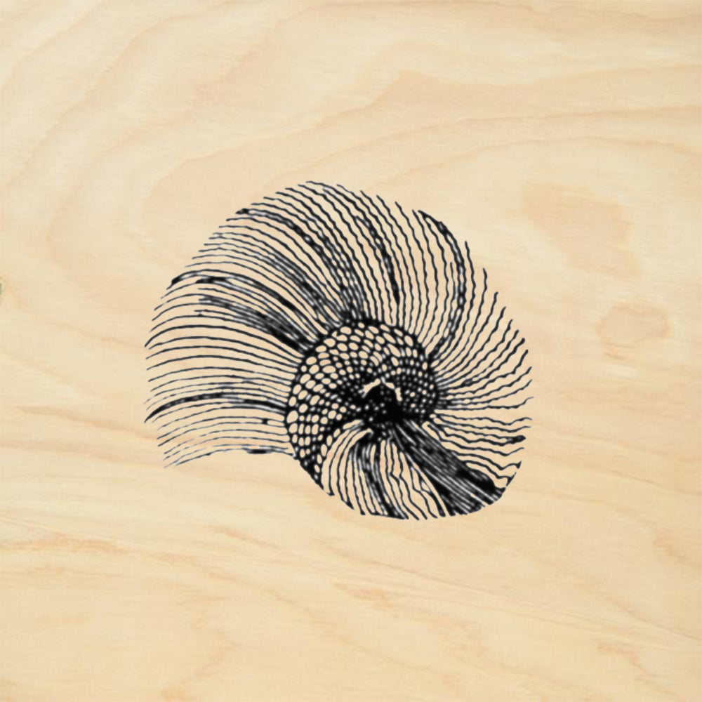 StampaFe Angel Swirl Shell Mixed Media Rubber Art Stamp