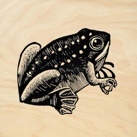 StampaFe Frog Palaebatrashus Mixed Media Rubber Art Stamp