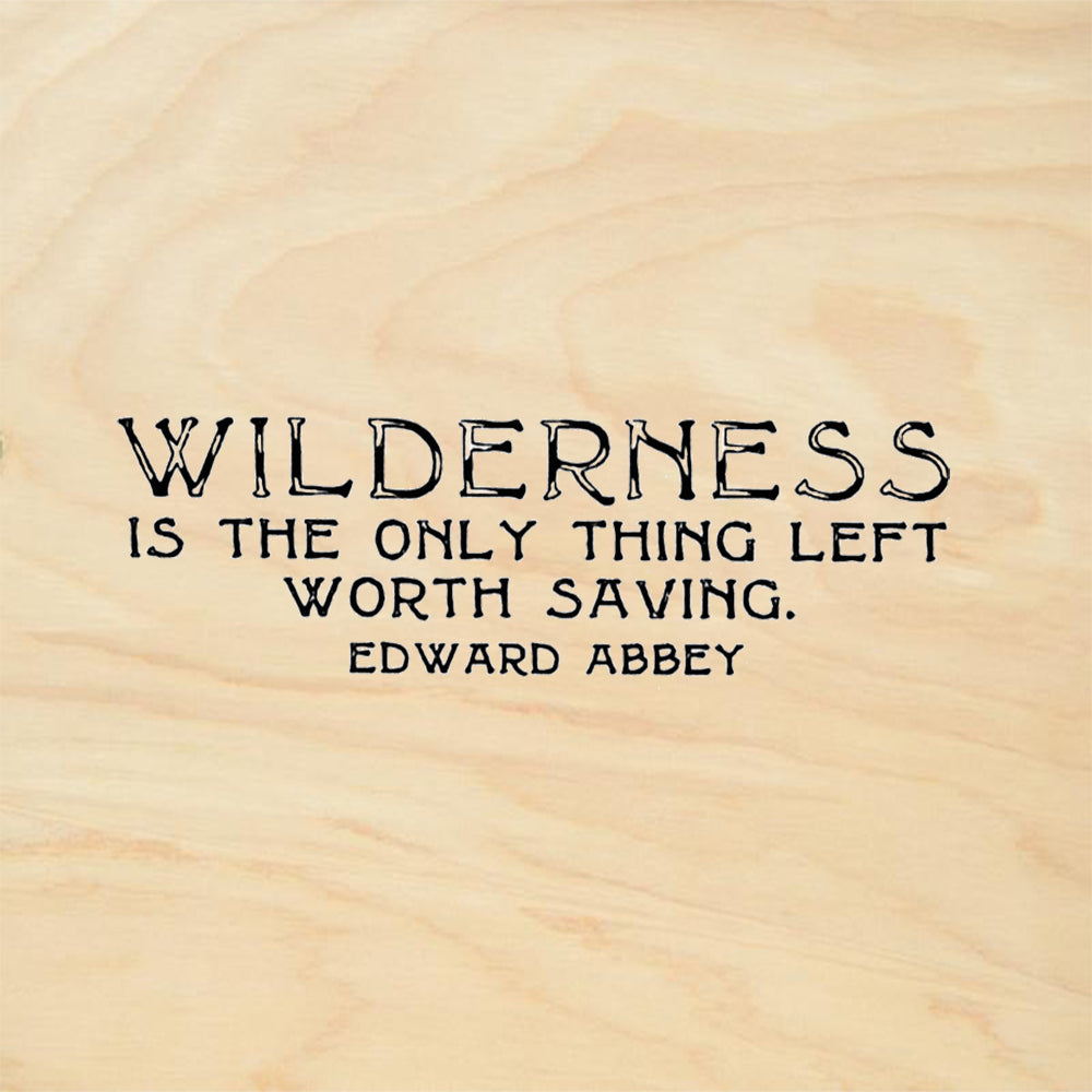 StampaFe Wilderness Only Thing Left Worth Saving Edward Abbey Rubber Art Stamp