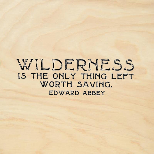 StampaFe Wilderness Only Thing Left Worth Saving Edward Abbey Rubber Art Stamp