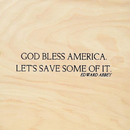 StampaFe God Bless America Let's Save Some of It Edward Abbey Rubber Art Stamp