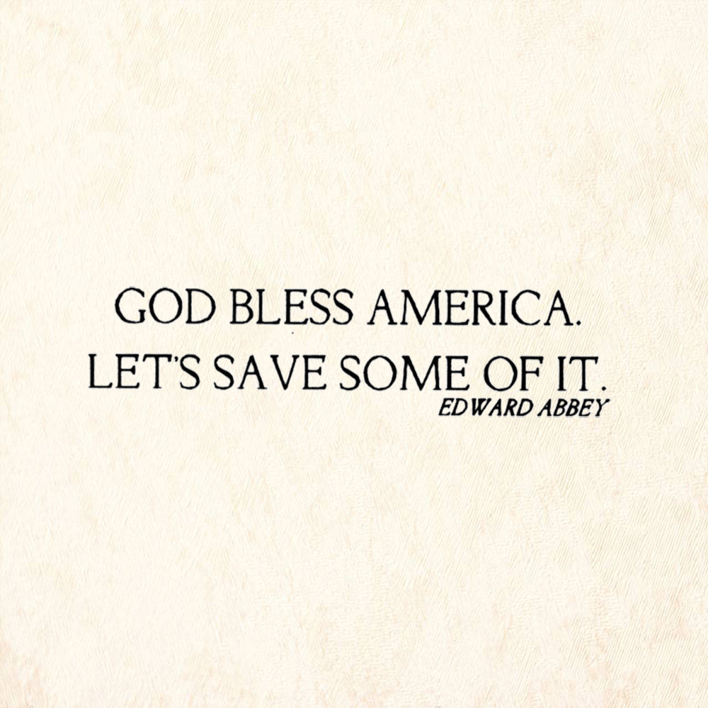 StampaFe God Bless America Let's Save Some of It Edward Abbey Rubber Art Stamp